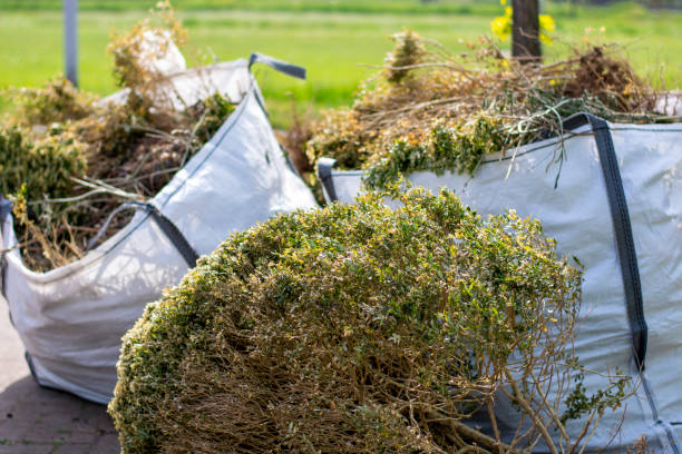 Best Property Management Cleanouts  in Las Campanas, NM